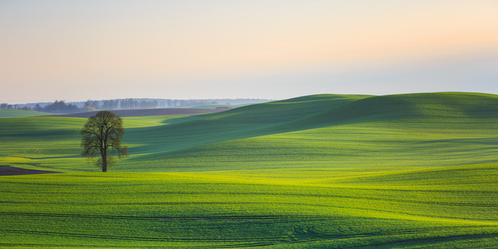 Kolory wiosny. (Maj 2019)