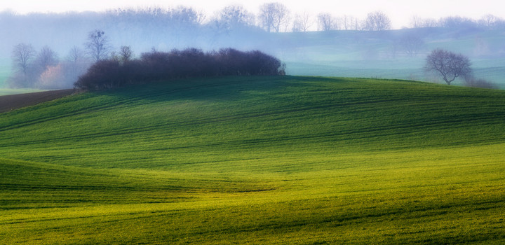 Lśnienie. (Maj 2019)