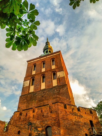 Wieża Radziejowskiego (Czerwiec 2019)