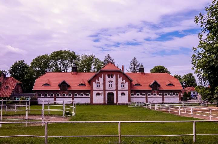 Stajnia (Czerwiec 2019)