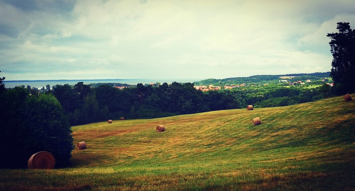 Widok na Tolkmicko