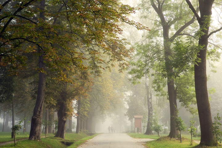 Spacer we mgle (Sierpień 2019)