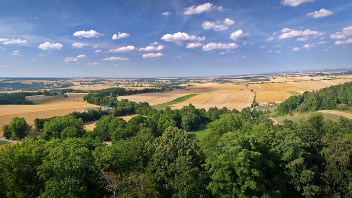 "Letni krajobraz" (Sierpień 2019)