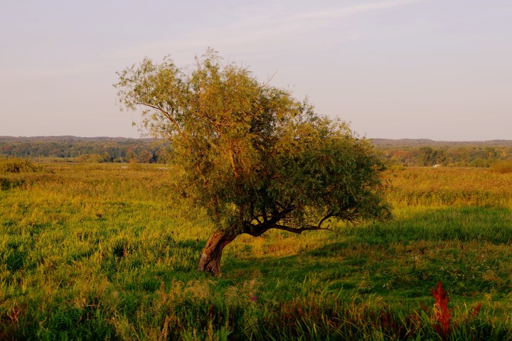 W promieniach zachodzącego słońca (Wrzesień 2019)