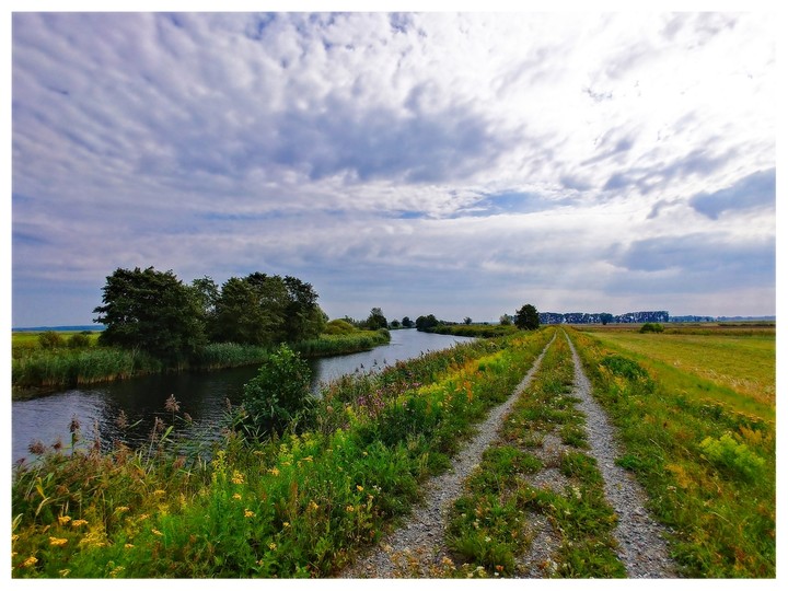 GreenVelo (Wrzesień 2019)