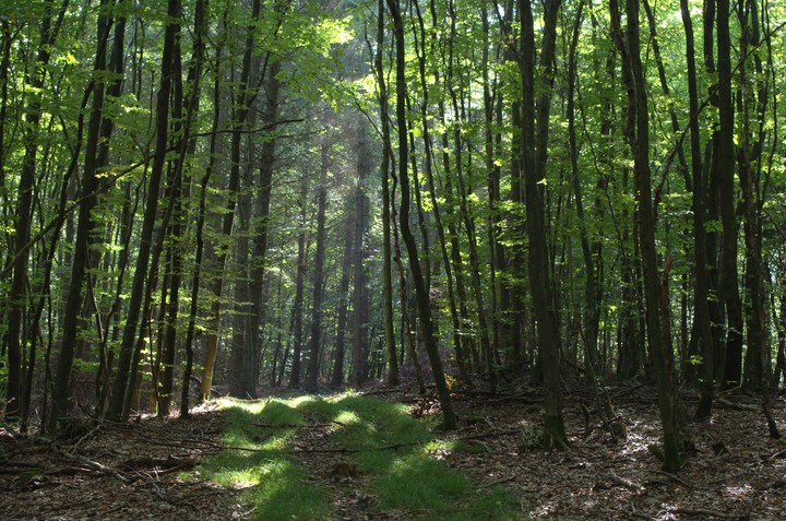 Tunel do nieba (Październik 2019)