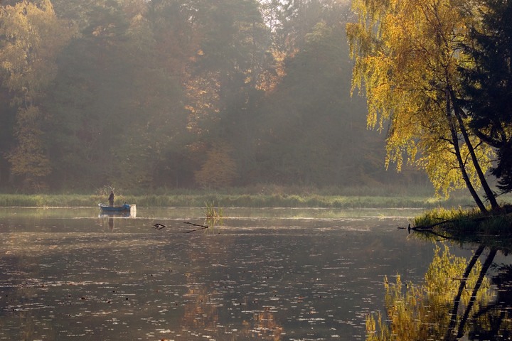 Jesień (Październik 2019)