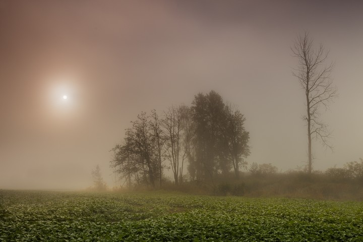 Mglisty świt (Październik 2019)