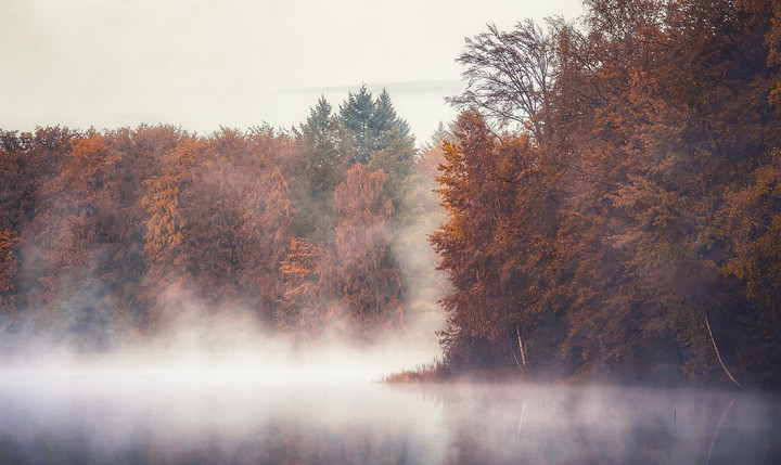 Poranne mgły (Październik 2019)