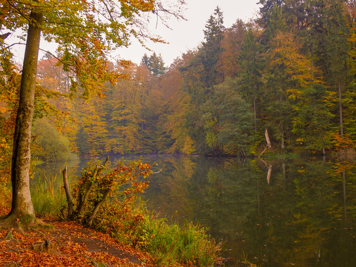 Barwy Jesieni 2 (Październik 2019)