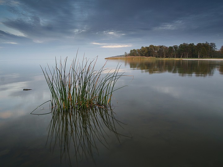 "Cisza" (Październik 2019)