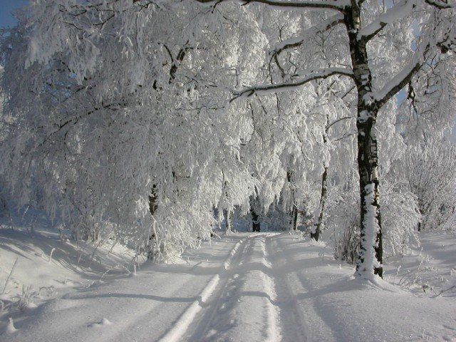  Zima w Bażantarni I


Zdjęcie nagrodzone w konkursie lutowym
