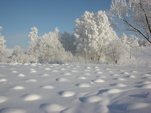 Zima w Bażantarni II
