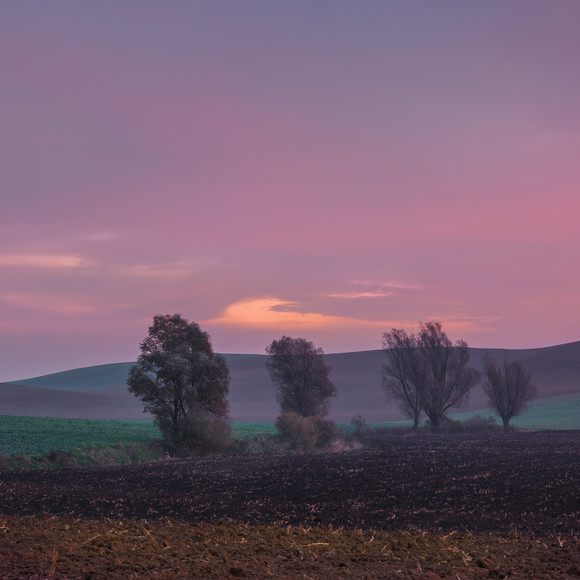 Przed świtem (Listopad 2019)