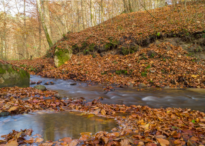 Spokojna woda (Listopad 2019)