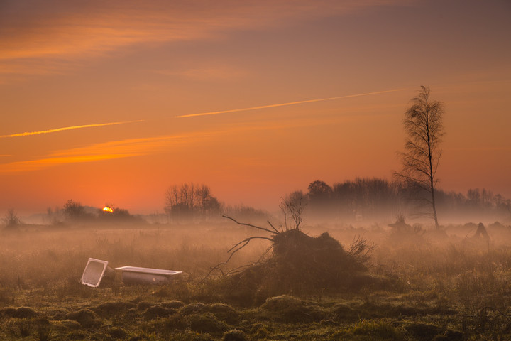 Czekając na światło (Listopad 2019)