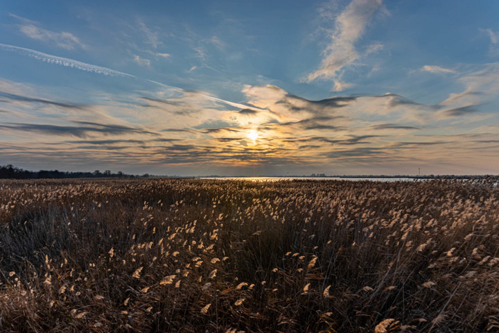 Idylla (Grudzień 2019)