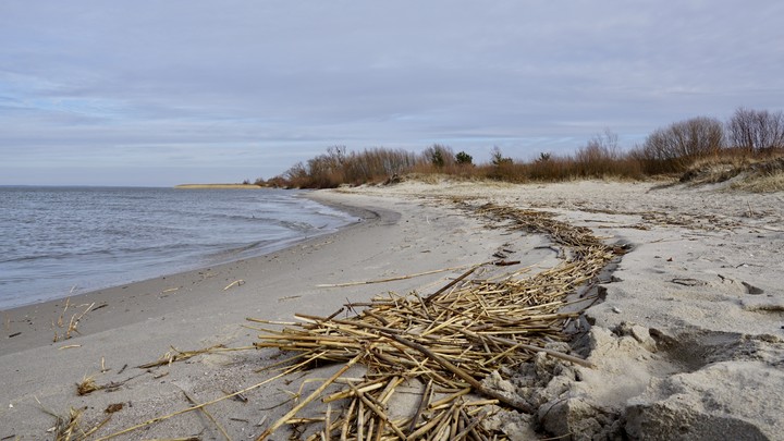 Plaża Kadyny