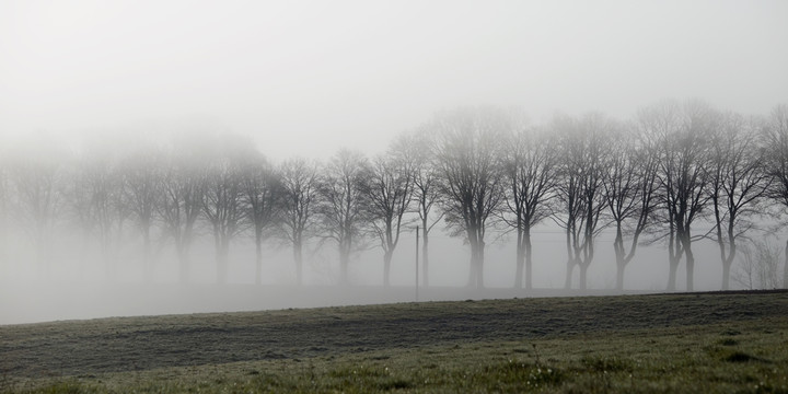 Rano mgła w pole szła (Maj 2020)
