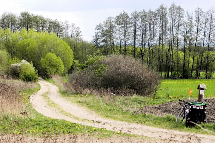 Na szlaku (Maj 2020)