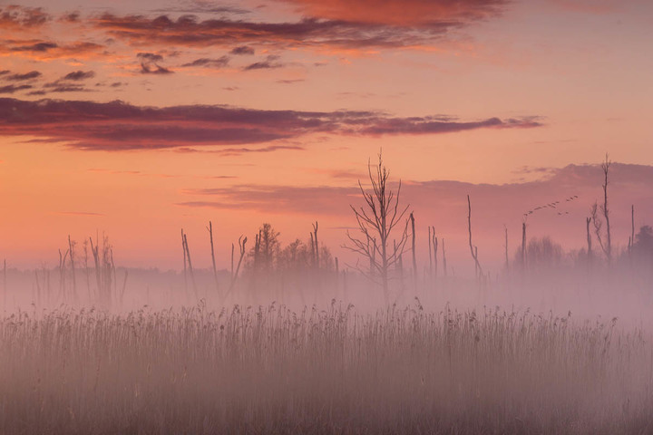 mgiełki (Maj 2020)