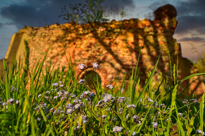 Natura na tle ruin (Maj 2020)