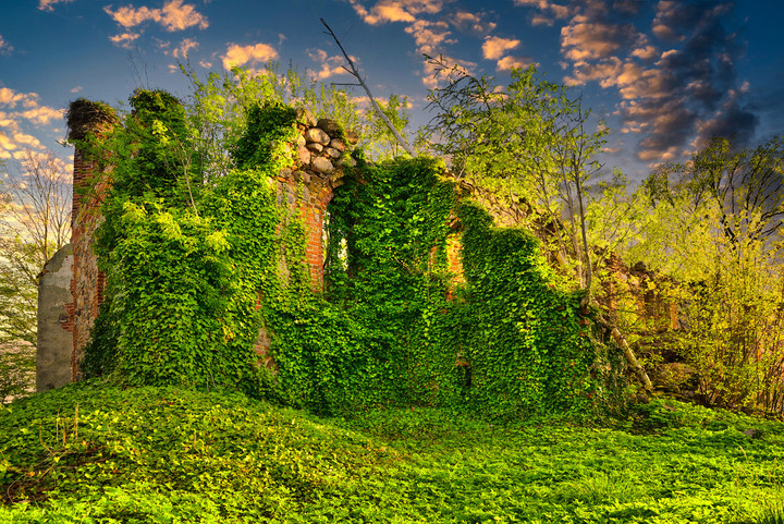 Ruiny okryte naturą zieleni (Maj 2020)