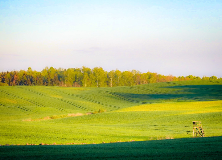 Landscape (Maj 2020)