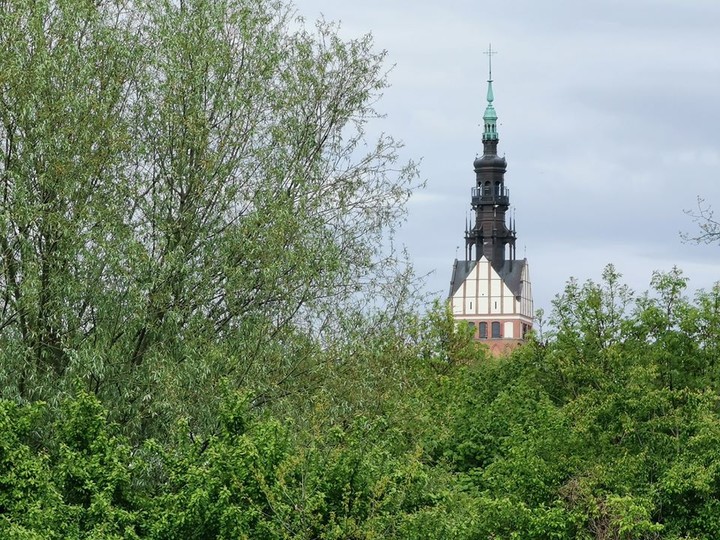 Katedra w zieleni (Maj 2020)