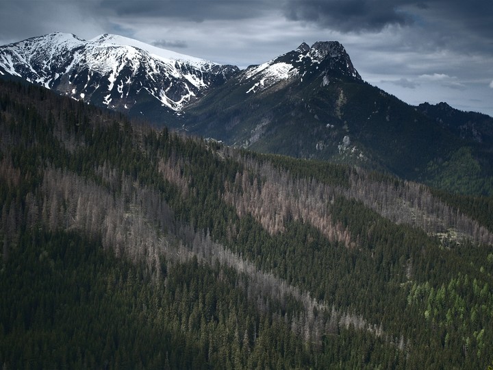 "Widok na Giewont" (Lipiec 2020)