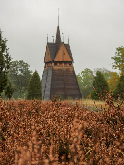 Skandynawski brąz (Sierpień 2020)