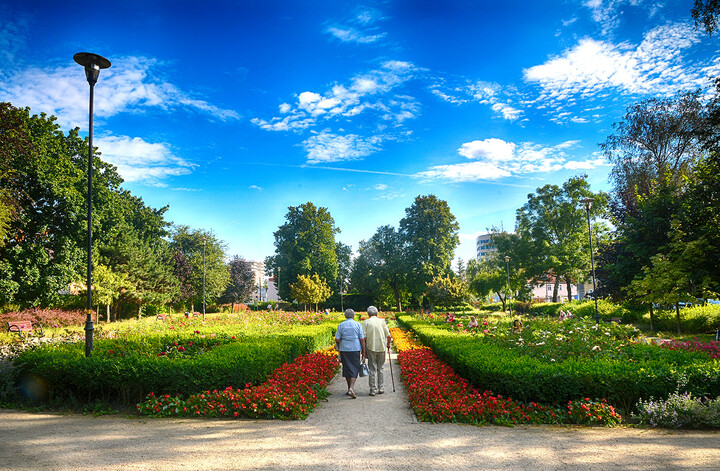 Park różany (w parku Kajki). (Sierpień 2020)