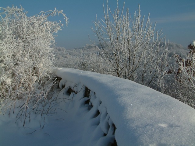  W śnieżnym kręgu
