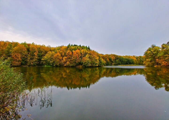 Jeziorko Goplenica wczesną jesienią