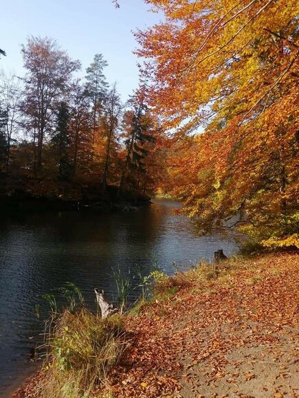 Jelenia Dolina jesienią