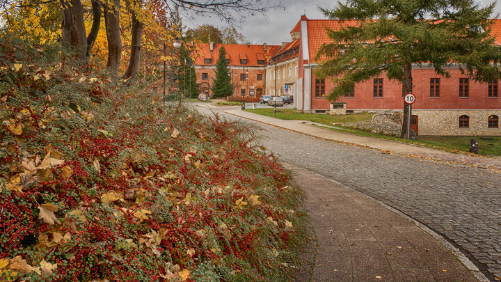 Jesienny Pasłek