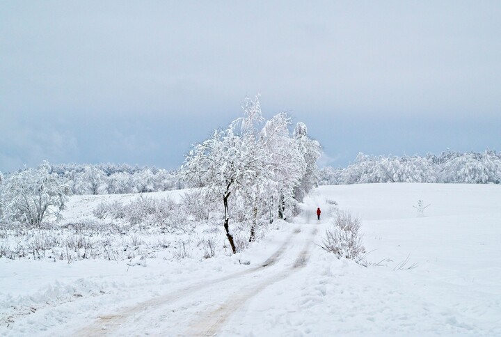 Zimowy spacer (Styczeń 2021)