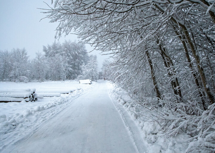 Kraina Narnii (Styczeń 2021)