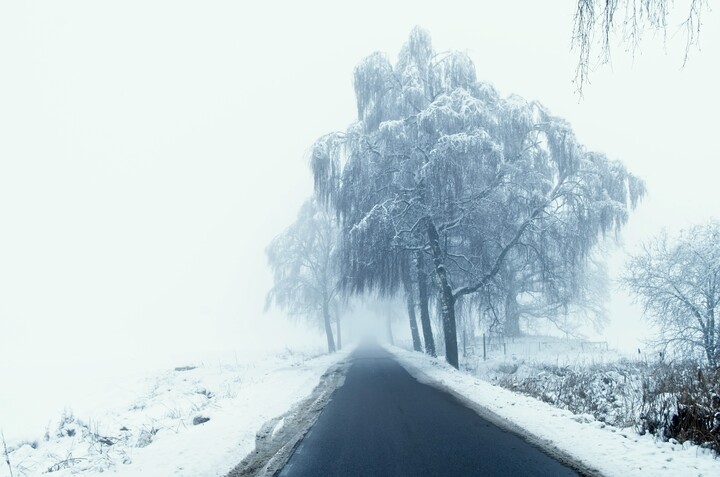 Droga we mgle (Styczeń 2021)
