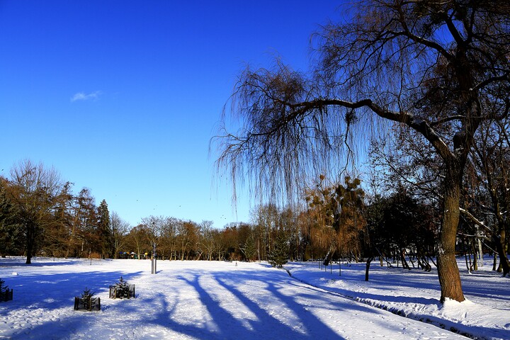 Zimowy krajobraz  w Parku Kajki w  Elblągu