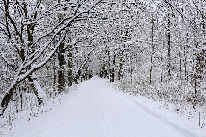 Zimowy  klimacik w  Parku  Bażantarnia w Elblągu