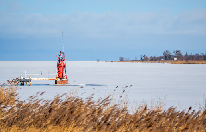 Mała latarnia (Marzec 2021)