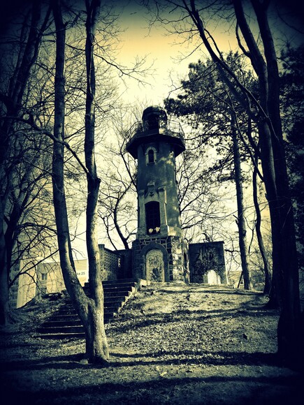 Wieża w parku Modrzewie