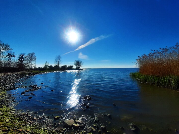 Wiosna nad zalewem