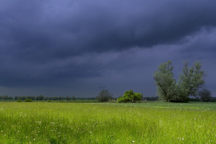 Przed burzą (Czerwiec 2021)