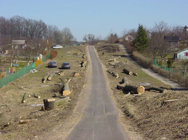 280 poległych drzew (Kwiecień 2004)