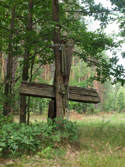 Stary krzyż pośród Puszczy