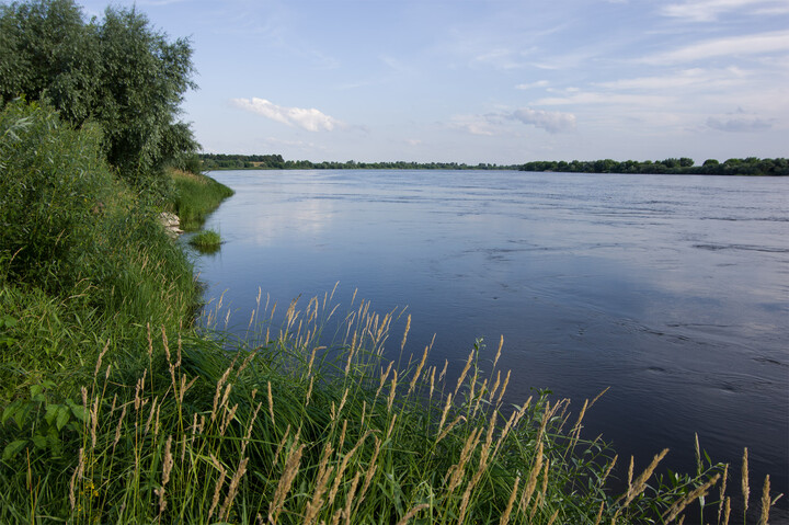 Gorące popołudnie nad Wisłą. (Lipiec 2021)