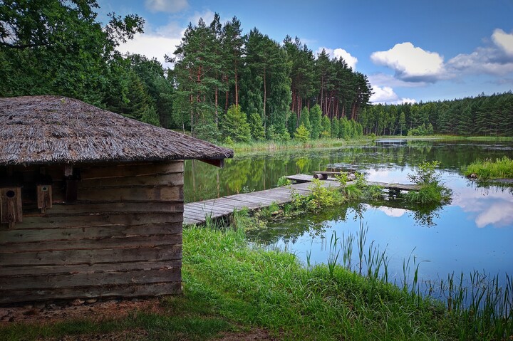 "Leśna cisza" (Sierpień 2021)