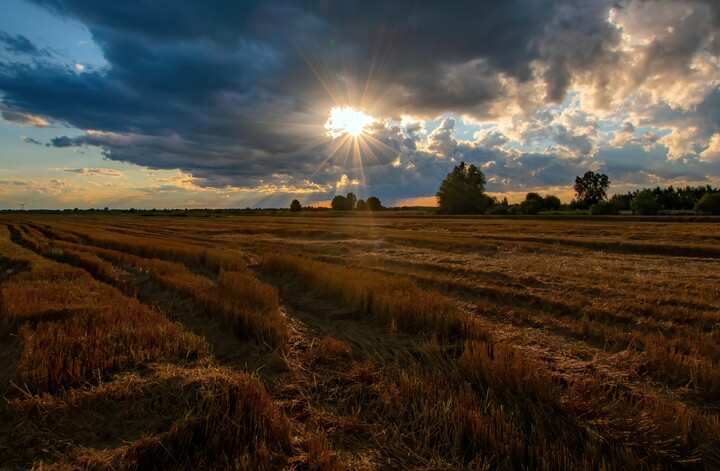 Rżysko (Wrzesień 2021)